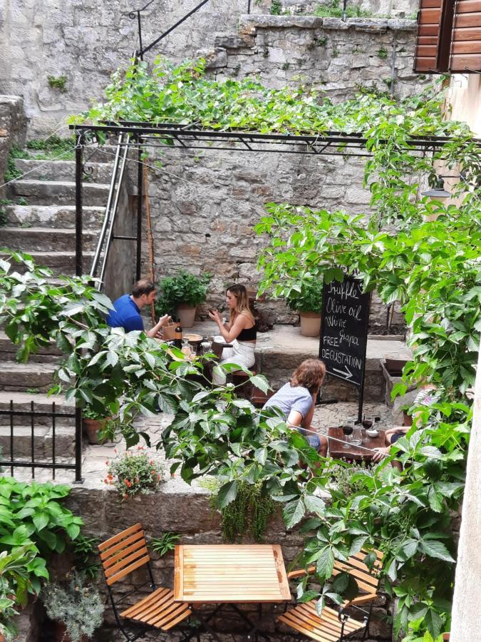 Bed & Breakfast Antico Motovun Exteriér fotografie