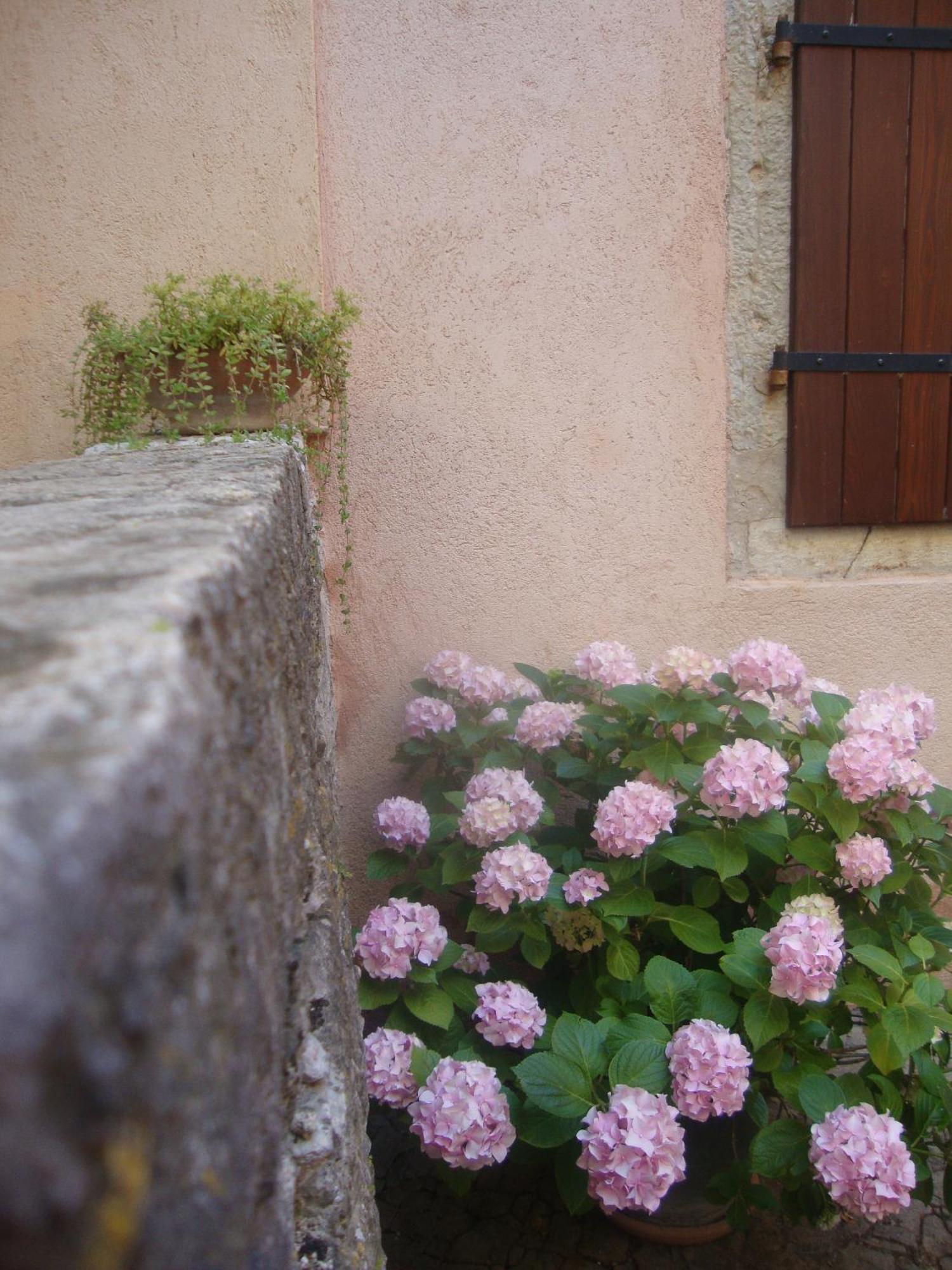 Bed & Breakfast Antico Motovun Exteriér fotografie
